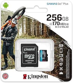 SDCG3/256GB microSDXC Canvas Go Plus 170R A2 U3 V30 Card